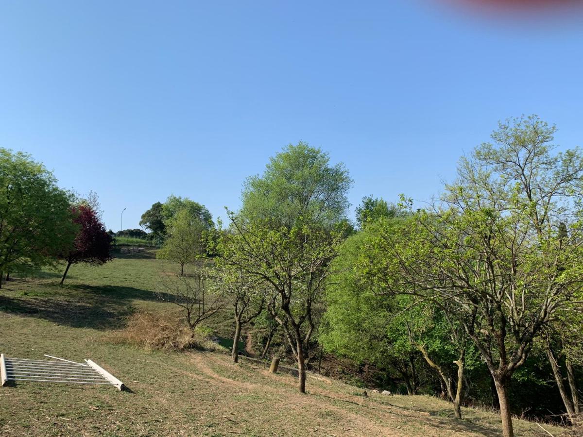 Villa Isidoro Ampio Parco ,Piscina Privata, Arte E Giochi , Fitness Verona Eksteriør billede